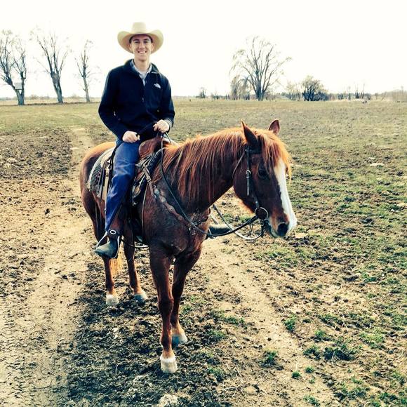 Meet your Posher, Nicholas - Picture 1 of 1